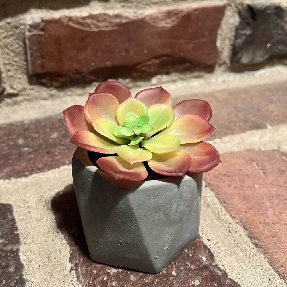 Spring/Summer Decor - Picture 2 of 2